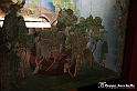 VBS_9697 - La Morra, Barolo, Grinzane Cavour, Pollenzo